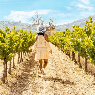 woman with hat in the vineyard Valensole Provence Landscape France