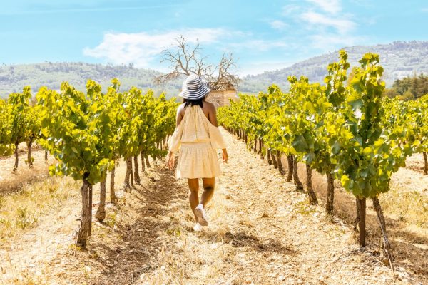 woman with hat in the vineyard Valensole Provence Landscape France